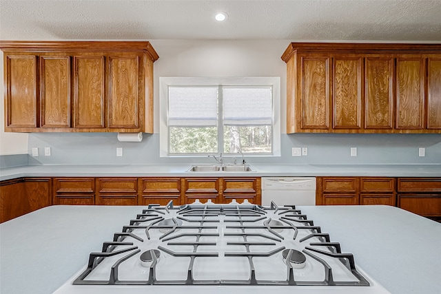 kitchen with sink, white dishwasher, stovetop, and a textured ceiling