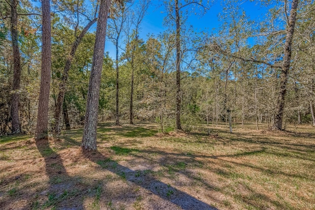 view of local wilderness