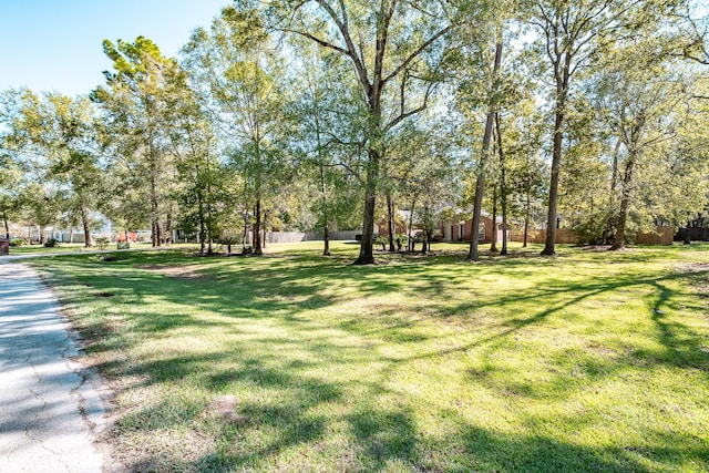 206 Private Road 635, Dayton, TX 77535 - view of property's community featuring a yard