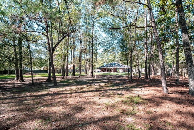 206 Private Road 635, Dayton, TX 77535 - view of yard