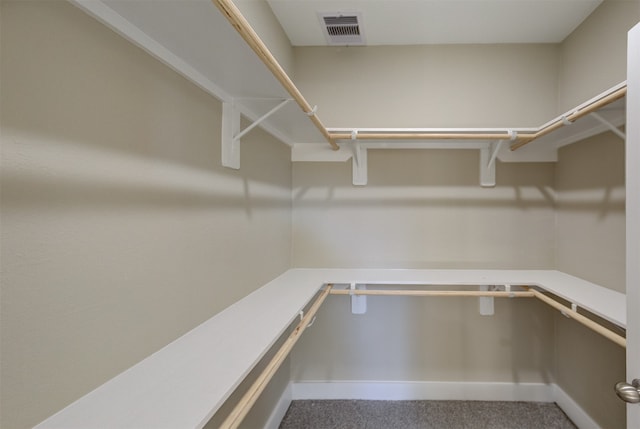 spacious closet with carpet