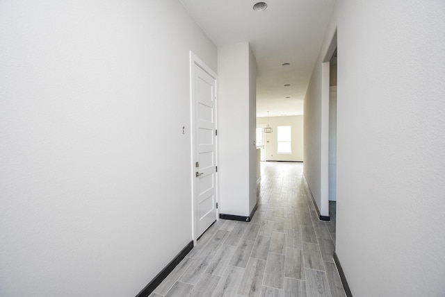 corridor featuring a notable chandelier and light wood-type flooring