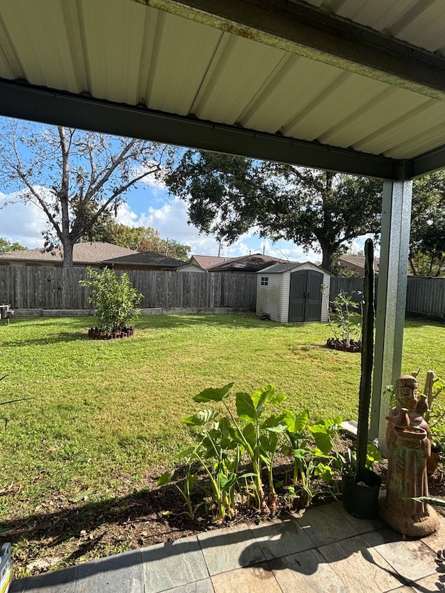 view of yard with a storage shed