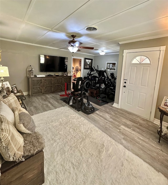 workout area with ceiling fan, hardwood / wood-style floors, and crown molding