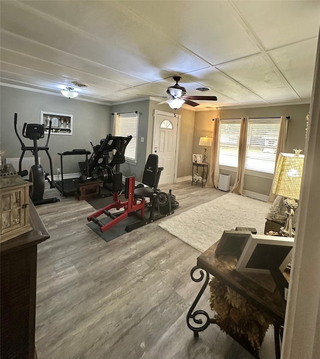 workout area featuring ceiling fan, wood-type flooring, and ornamental molding