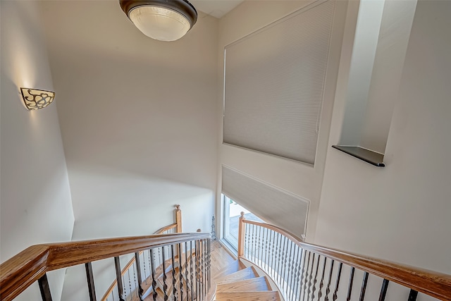 staircase with parquet flooring