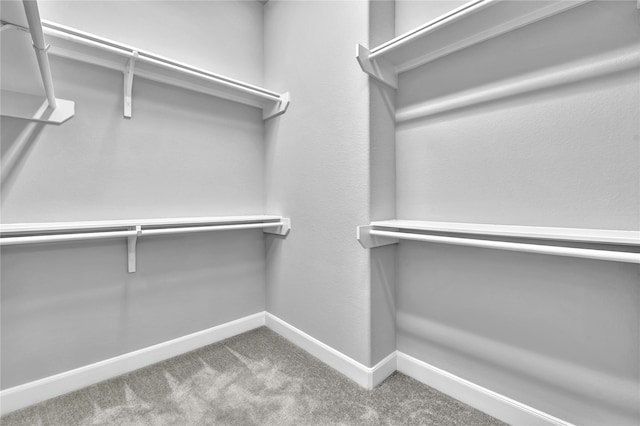 spacious closet with carpet floors