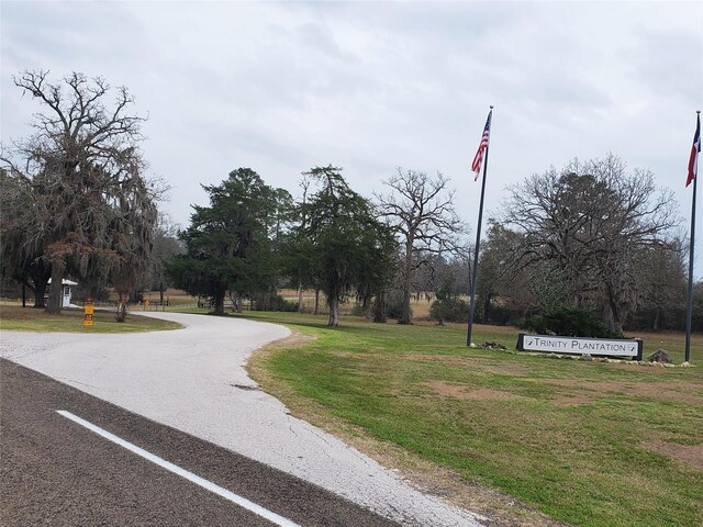 LOT1 Oakley Rd, Trinity, TX 75862 - photo 4