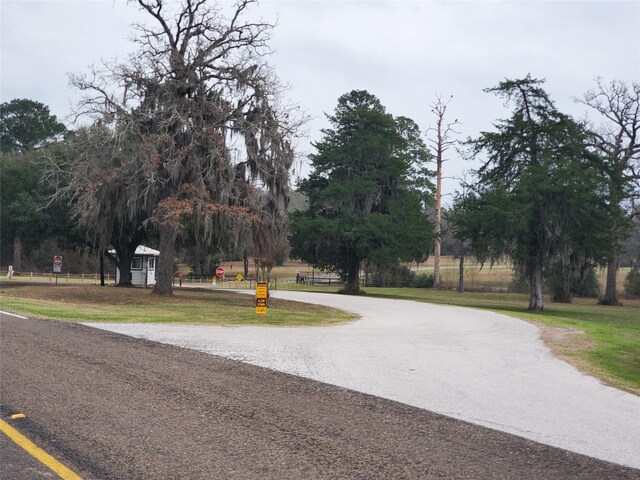 LOT1 Oakley Rd, Trinity, TX 75862 - photo 5