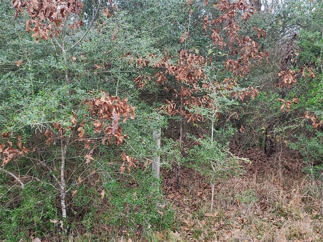 LOT1 Oakley Rd, Trinity, TX 75862 - photo 10