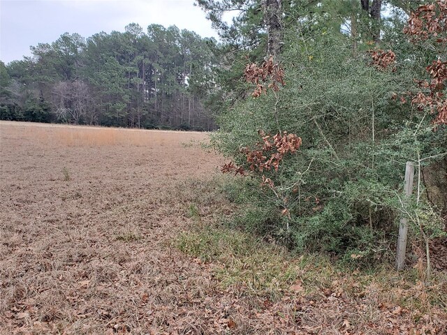 LOT1 Oakley Rd, Trinity, TX 75862 - photo 11