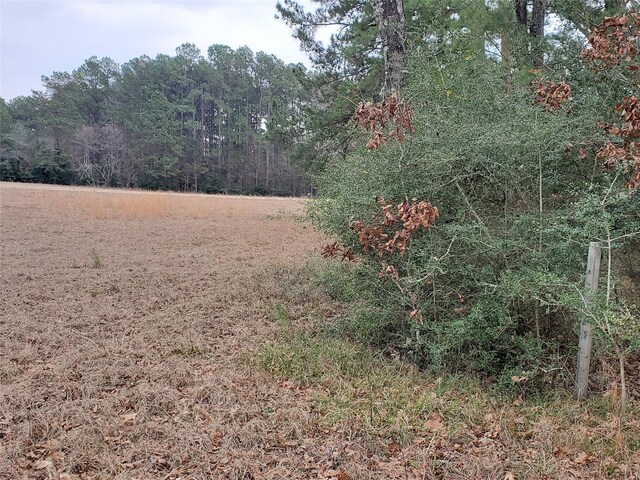 LOT1 Oakley Rd, Trinity, TX 75862 - photo 12