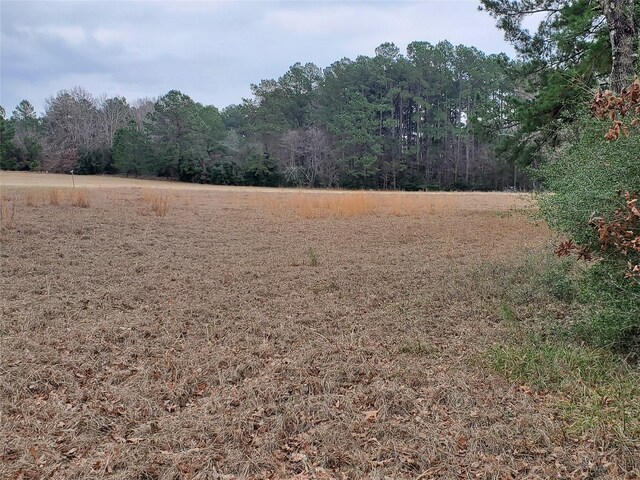 LOT1 Oakley Rd, Trinity, TX 75862 - photo 13