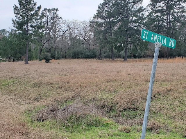 LOT1 Oakley Rd, Trinity, TX 75862 - photo 14
