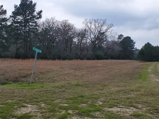 LOT1 Oakley Rd, Trinity, TX 75862 - photo 18