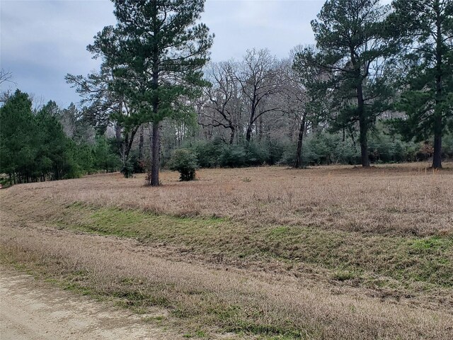 LOT1 Oakley Rd, Trinity, TX 75862 - photo 19