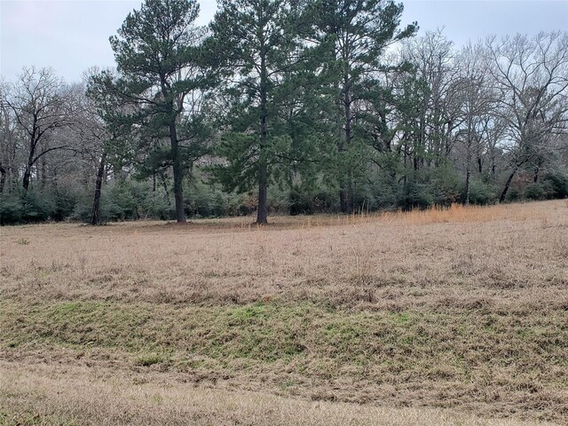 LOT1 Oakley Rd, Trinity, TX 75862 - photo 20