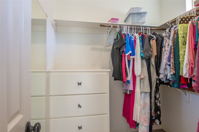 view of walk in closet