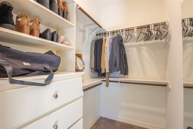 spacious closet with carpet floors