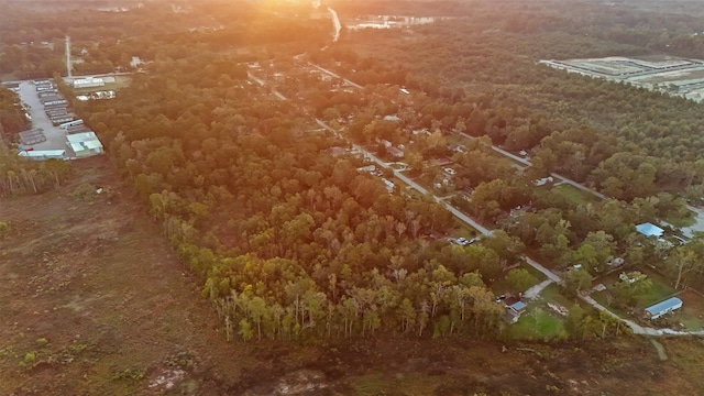 drone / aerial view