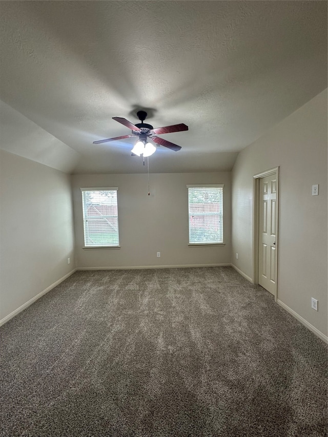 spare room featuring carpet, lofted ceiling, a textured ceiling, and a wealth of natural light