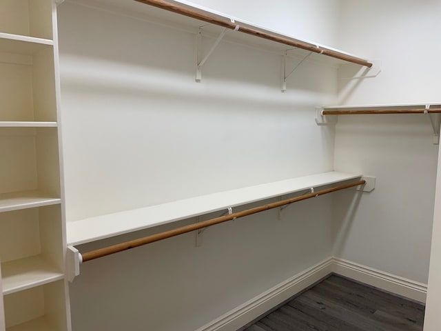 spacious closet featuring dark hardwood / wood-style flooring