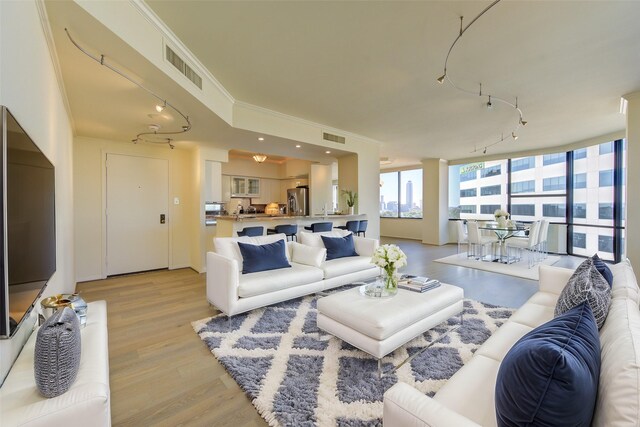 living room featuring light wood-type flooring and ornamental molding