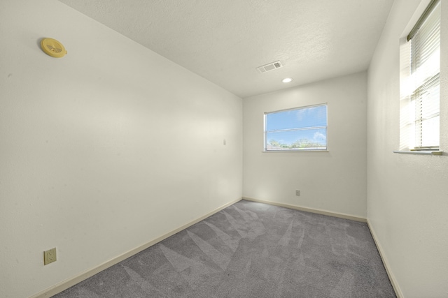 carpeted empty room featuring plenty of natural light