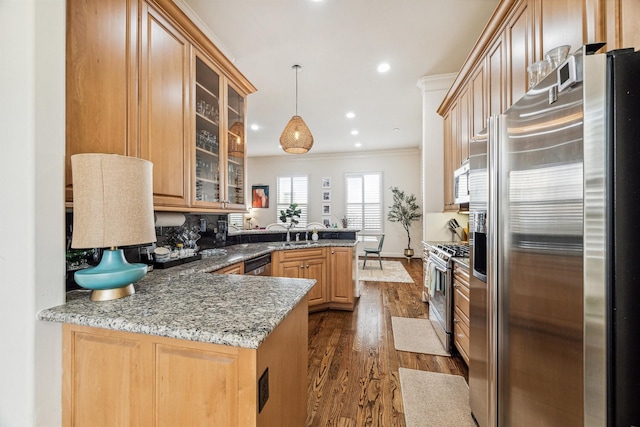 kitchen with dark wood-type flooring, crown molding, hanging light fixtures, appliances with stainless steel finishes, and kitchen peninsula