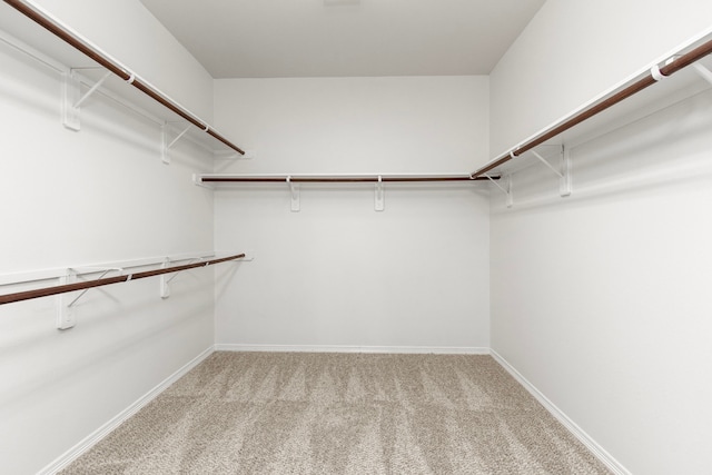 walk in closet with light colored carpet