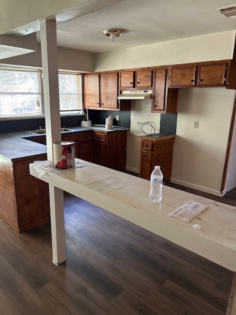 kitchen featuring dark wood-type flooring