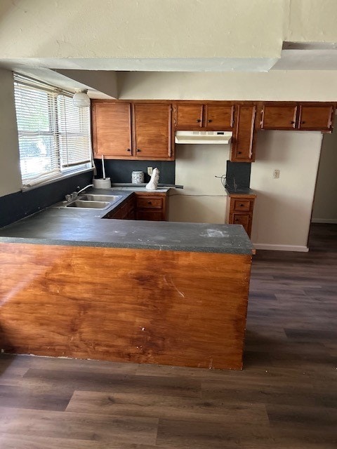 kitchen with dark hardwood / wood-style flooring and sink