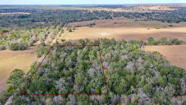 LOT1 County Rd 229, Bedias TX, 77831 land for sale