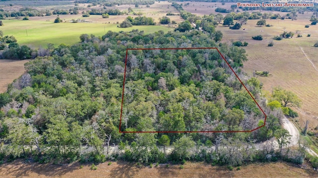 Listing photo 3 for LOT1 County Rd 229, Bedias TX 77831