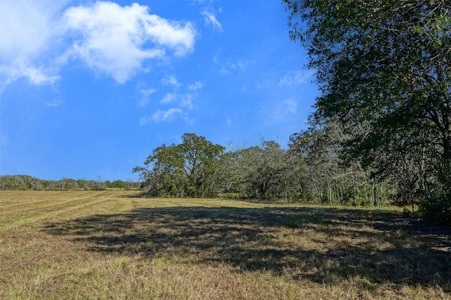 LOT6 County Rd 229, Bedias, TX 77831 - photo 1
