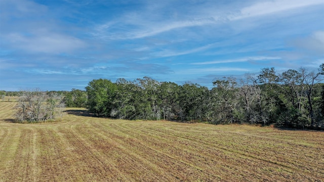 LOT6 County Rd 229, Bedias, TX 77831 - photo 3