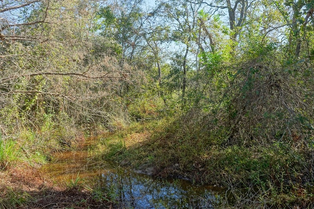 LOT6 County Rd 229, Bedias, TX 77831 - photo 6