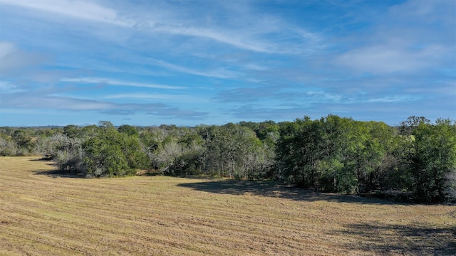 LOT6 County Rd 229, Bedias, TX 77831 - photo 8