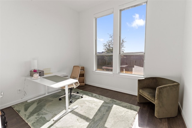 office space featuring dark wood-type flooring