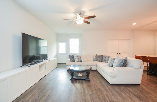 living room with ceiling fan and dark wood-type flooring