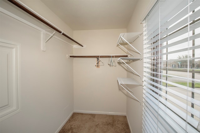 spacious closet with light carpet