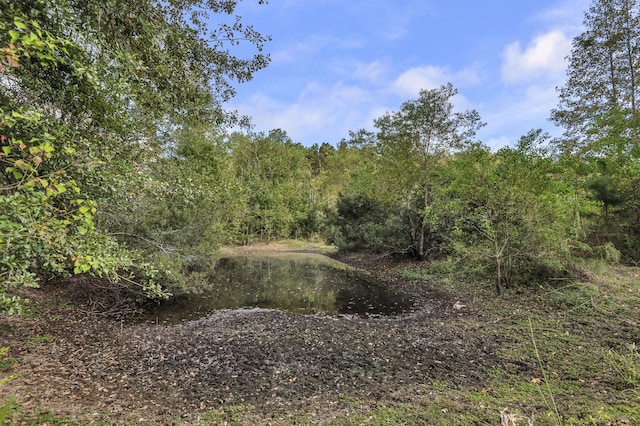 view of local wilderness