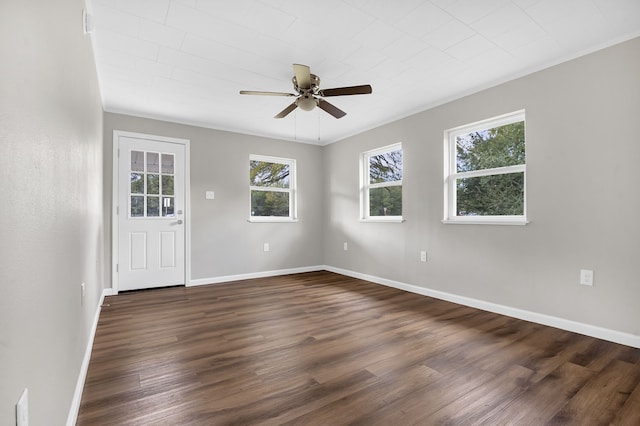 spare room featuring dark hardwood / wood-style flooring, ceiling fan, and ornamental molding