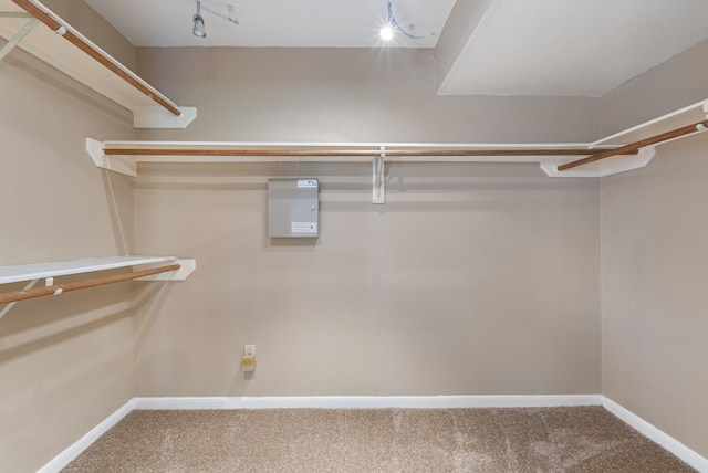 spacious closet with carpet floors