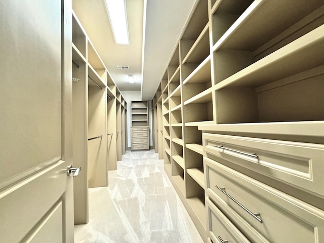 spacious closet featuring light carpet