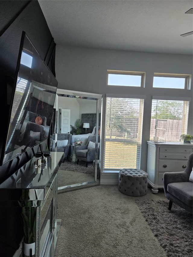 bedroom with carpet