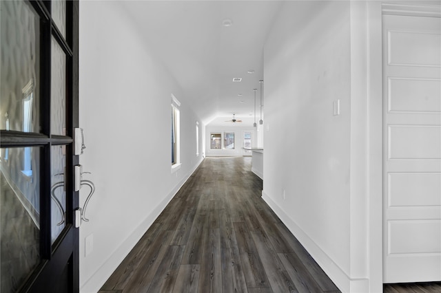 hallway featuring french doors and dark hardwood / wood-style floors