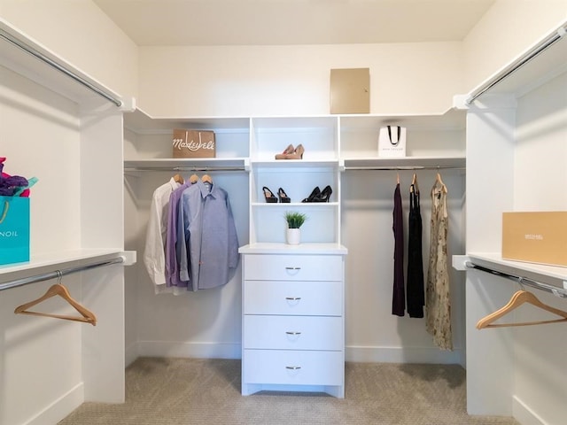 spacious closet featuring light colored carpet