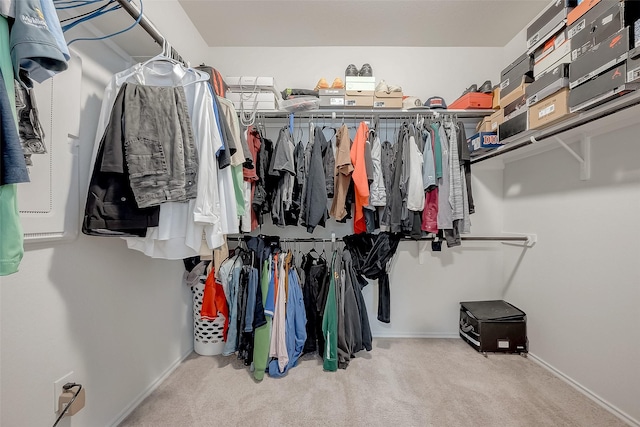 spacious closet with light carpet