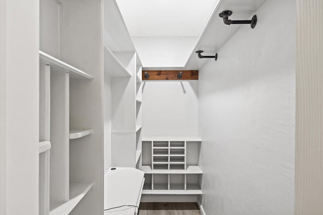 walk in closet featuring hardwood / wood-style flooring